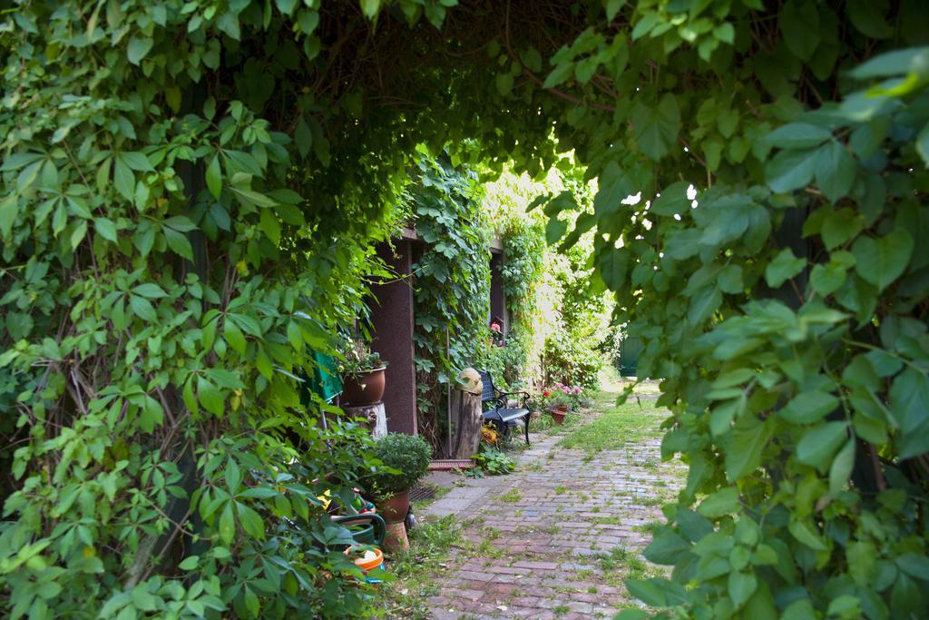 Pension Altstadt บอร์นา ภายนอก รูปภาพ