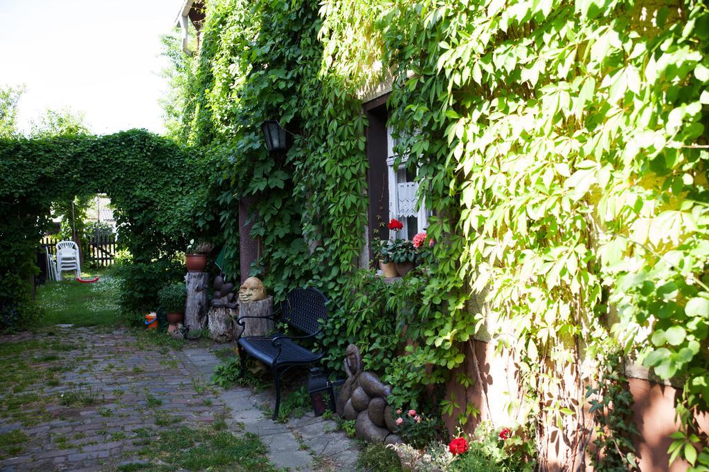 Pension Altstadt บอร์นา ภายนอก รูปภาพ