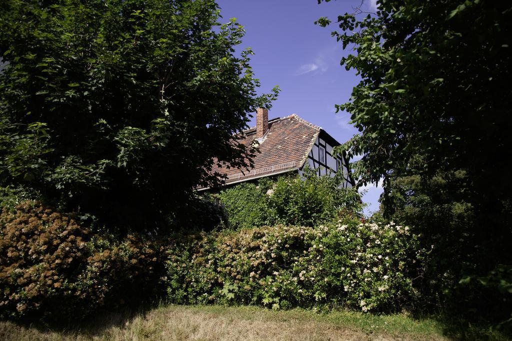 Pension Altstadt บอร์นา ภายนอก รูปภาพ